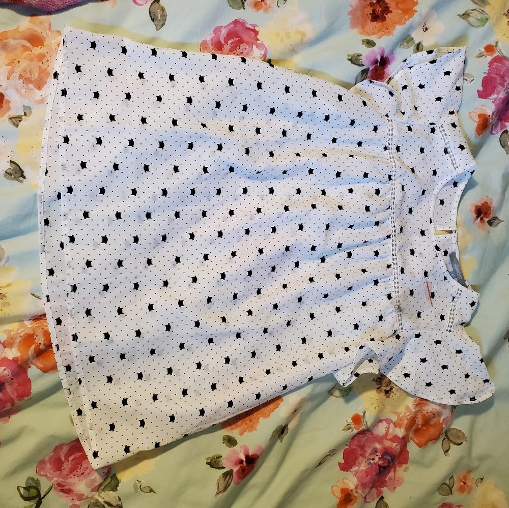 sweet rain cat top nwot